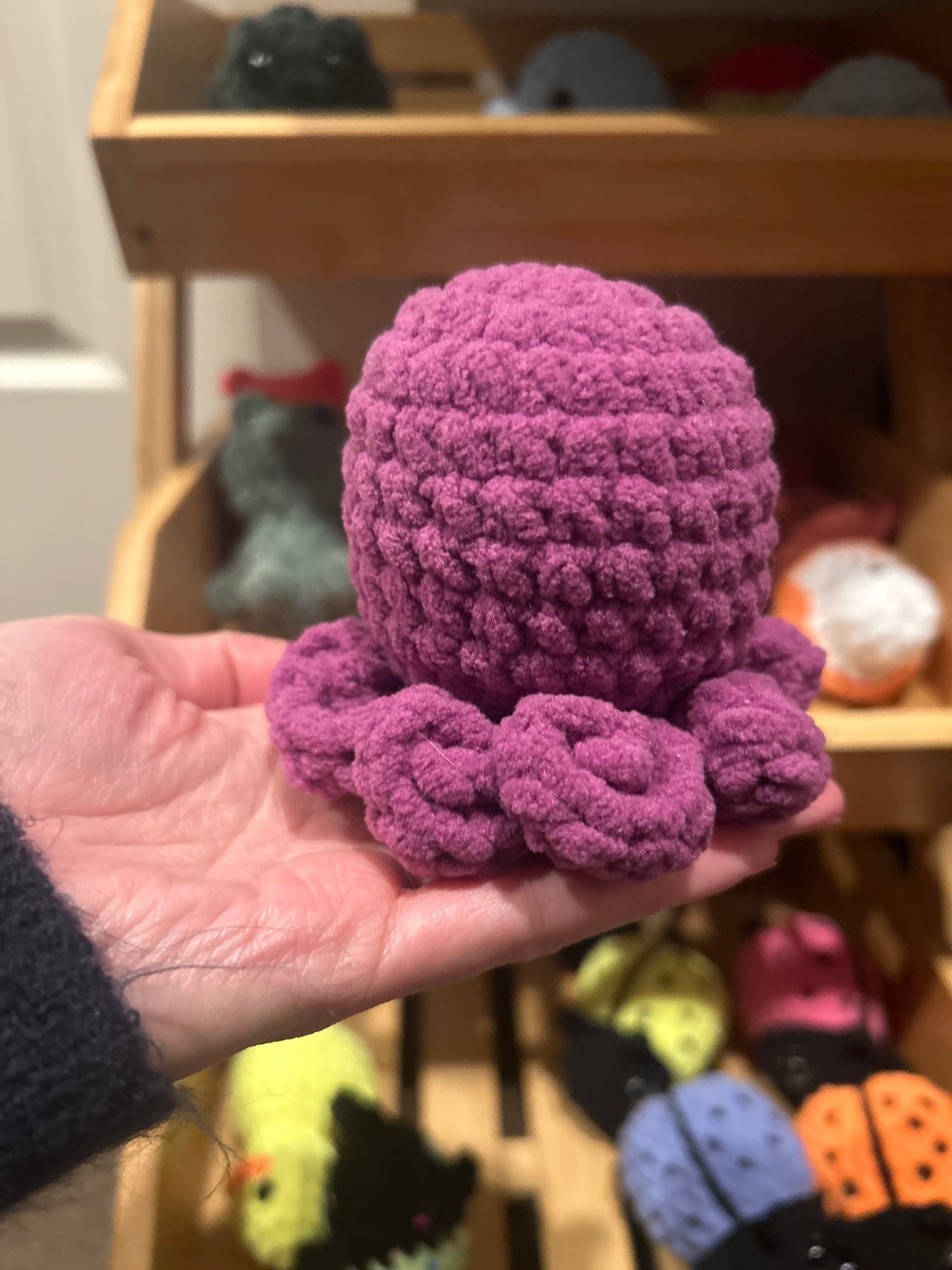 Pocket octos