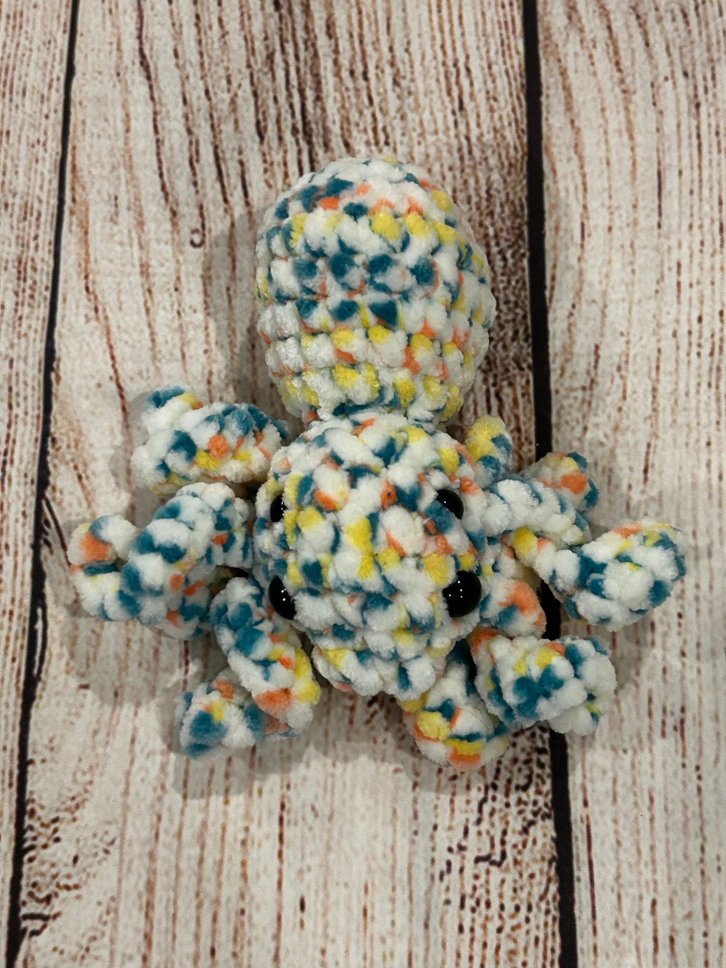 Cove spider