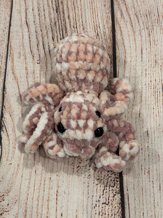 Cove spider