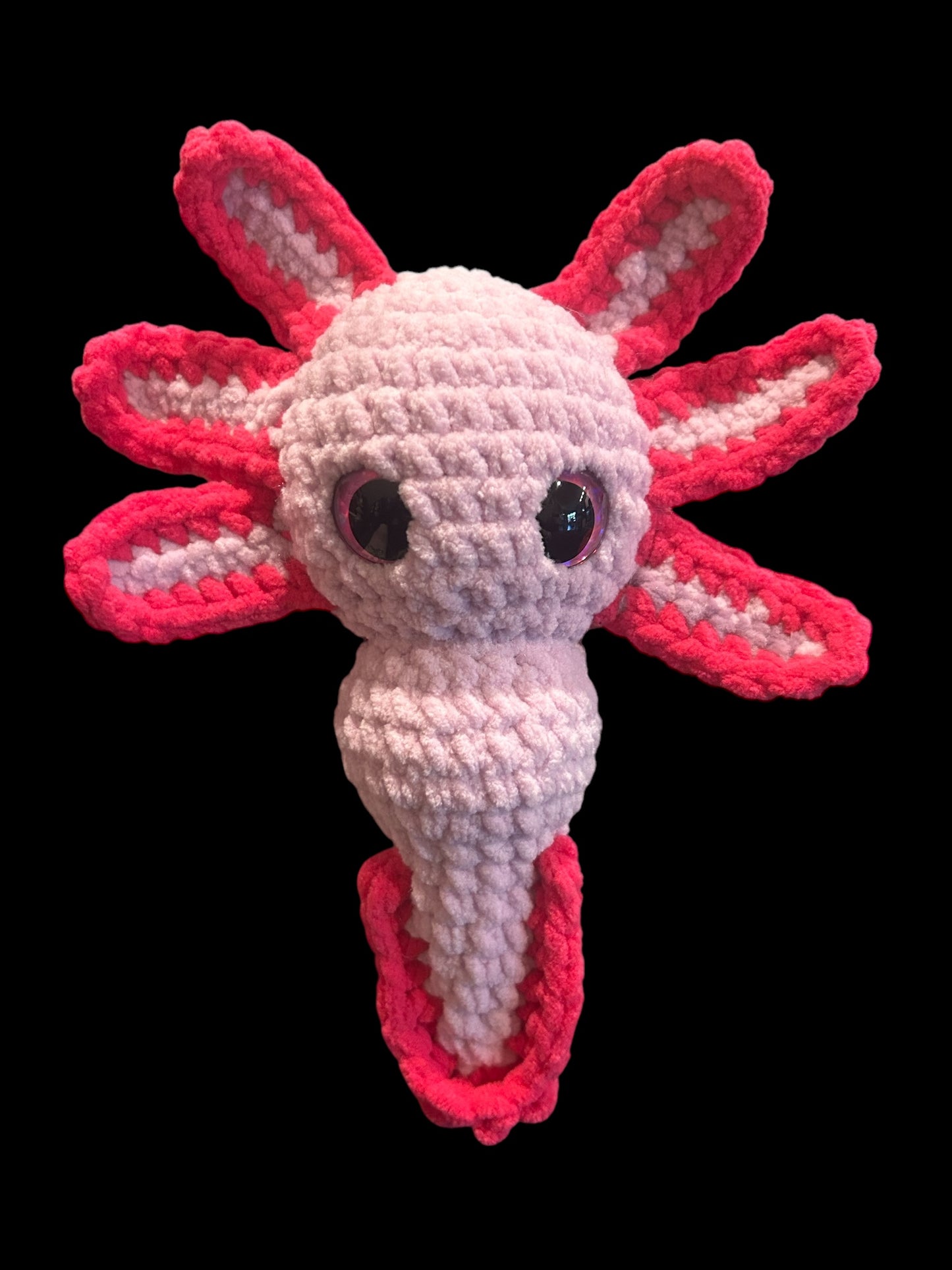 Baby axolotl