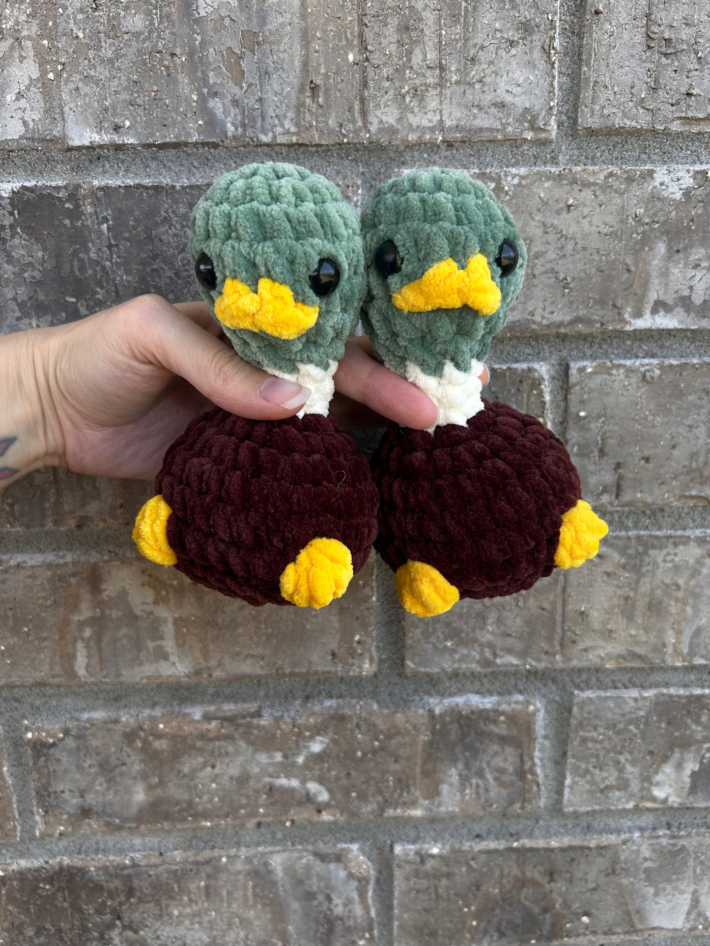 Silly birds