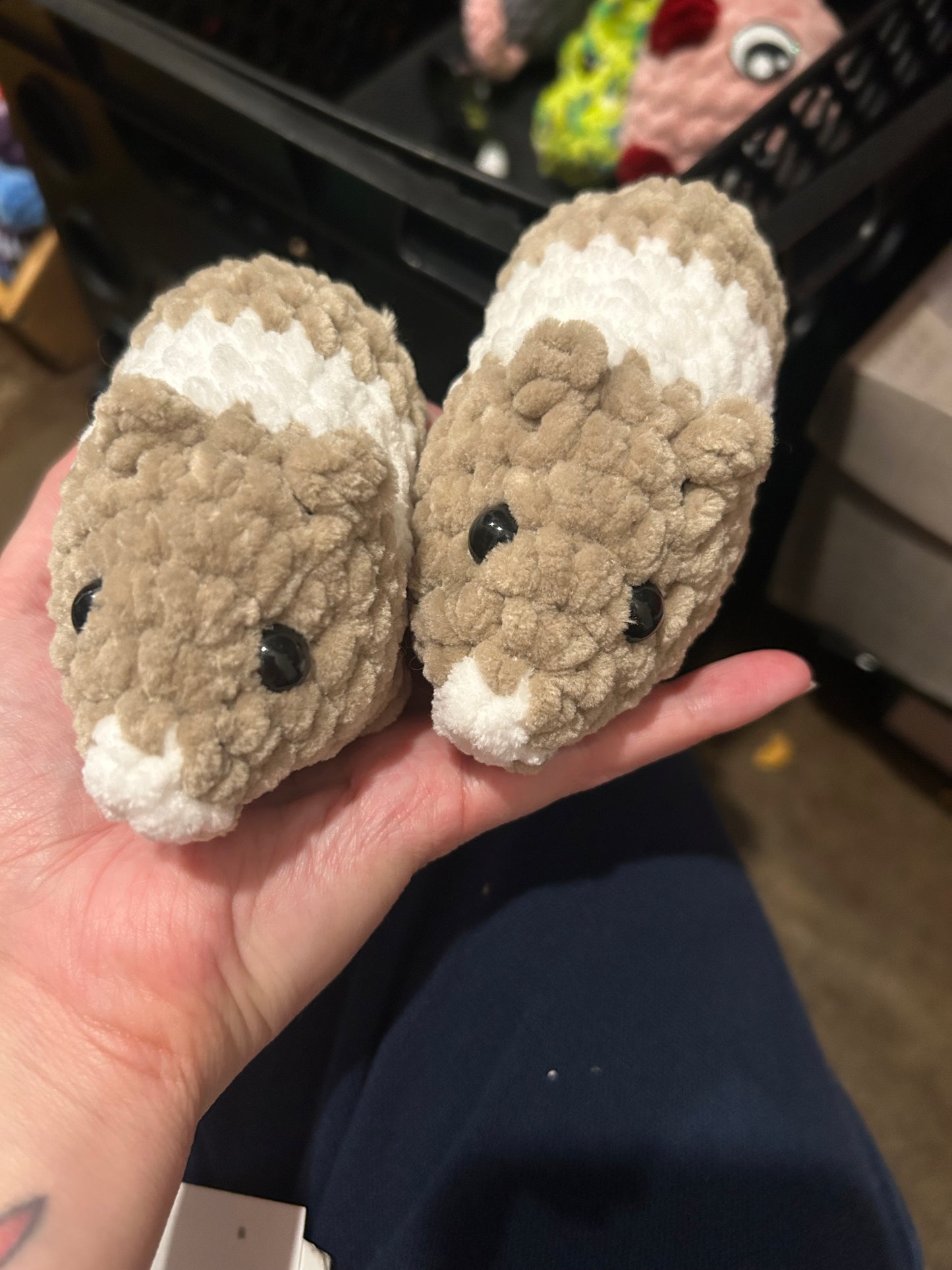 Hamster