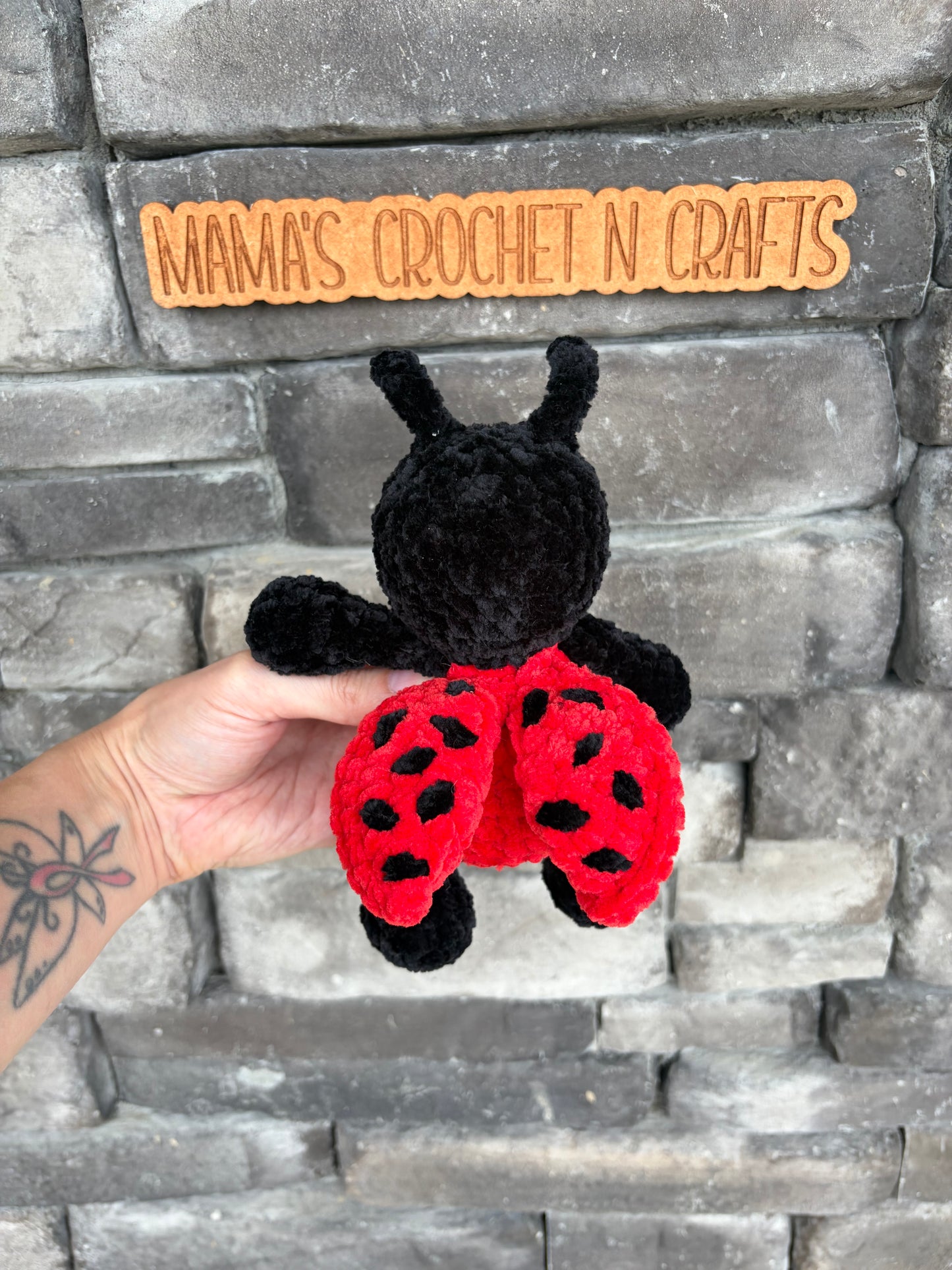 Ladybug