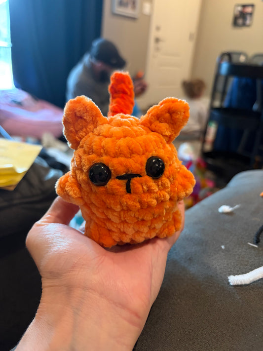 Orange kitty