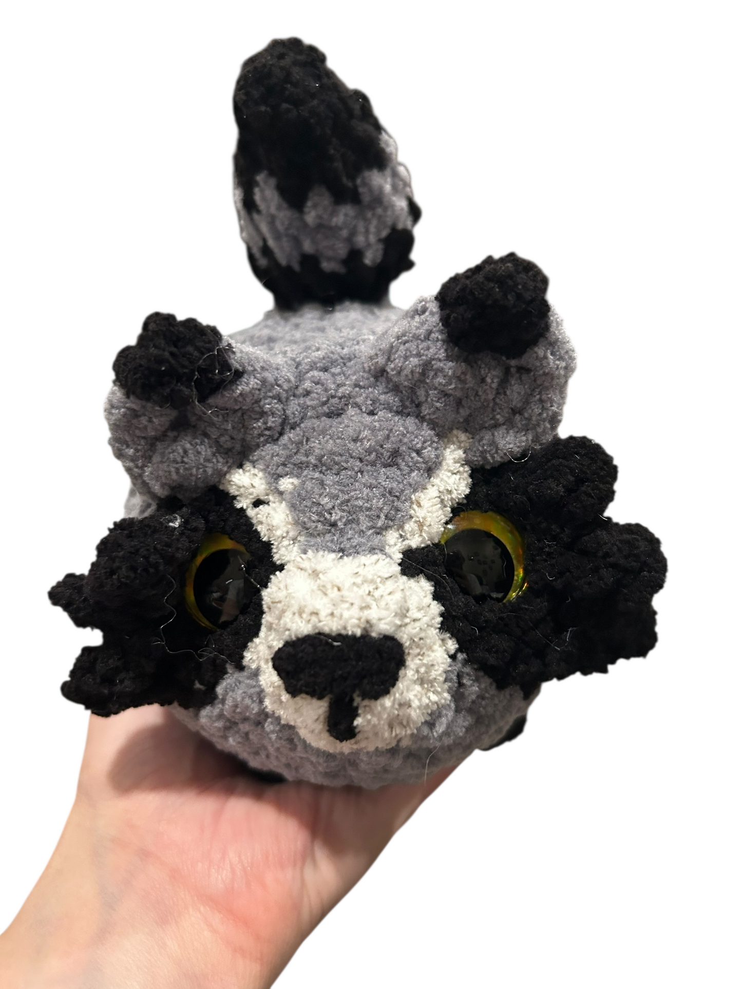 Chunky raccoon
