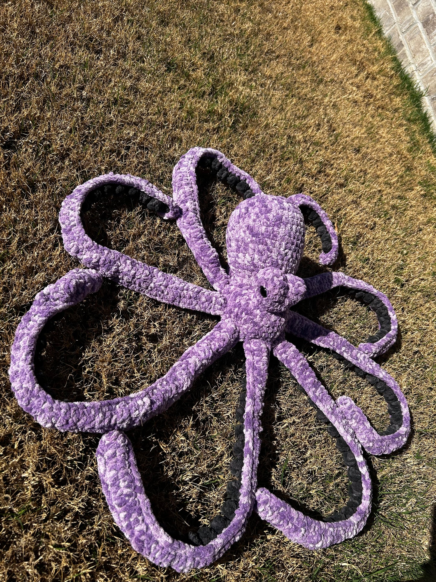 Jumbo octo