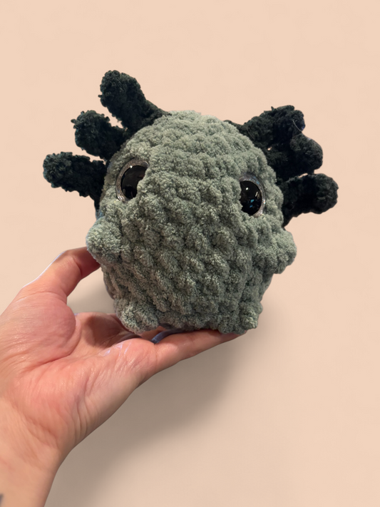 Axolotl