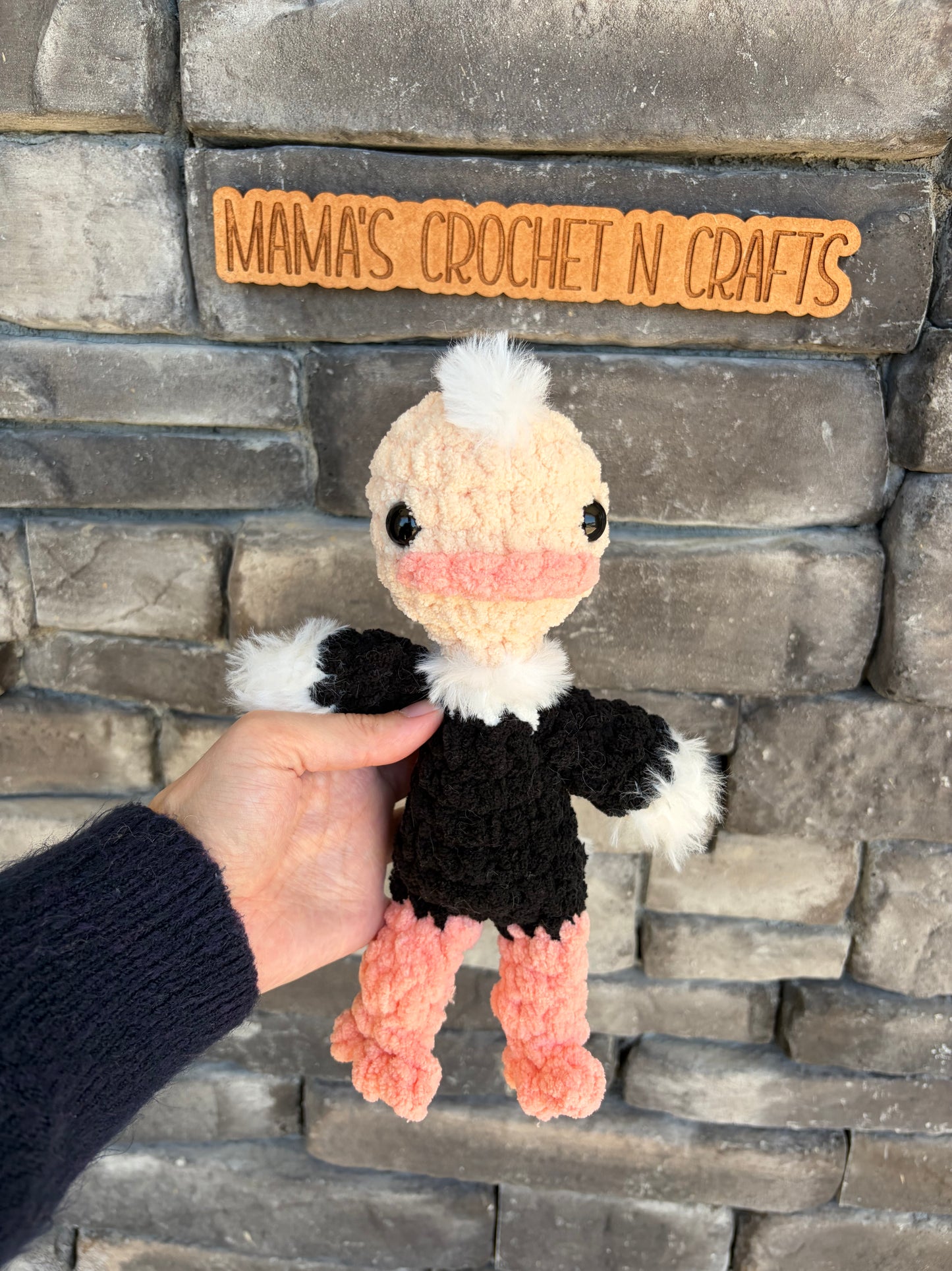 Little ostrich
