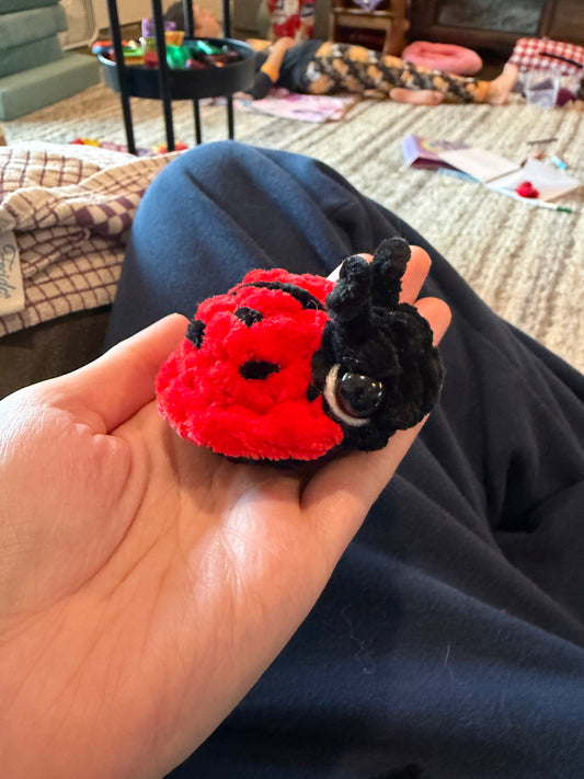 Mini ladybug