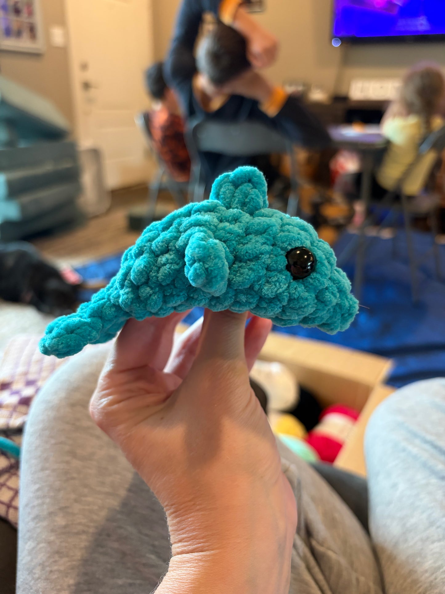 Mini dolphin