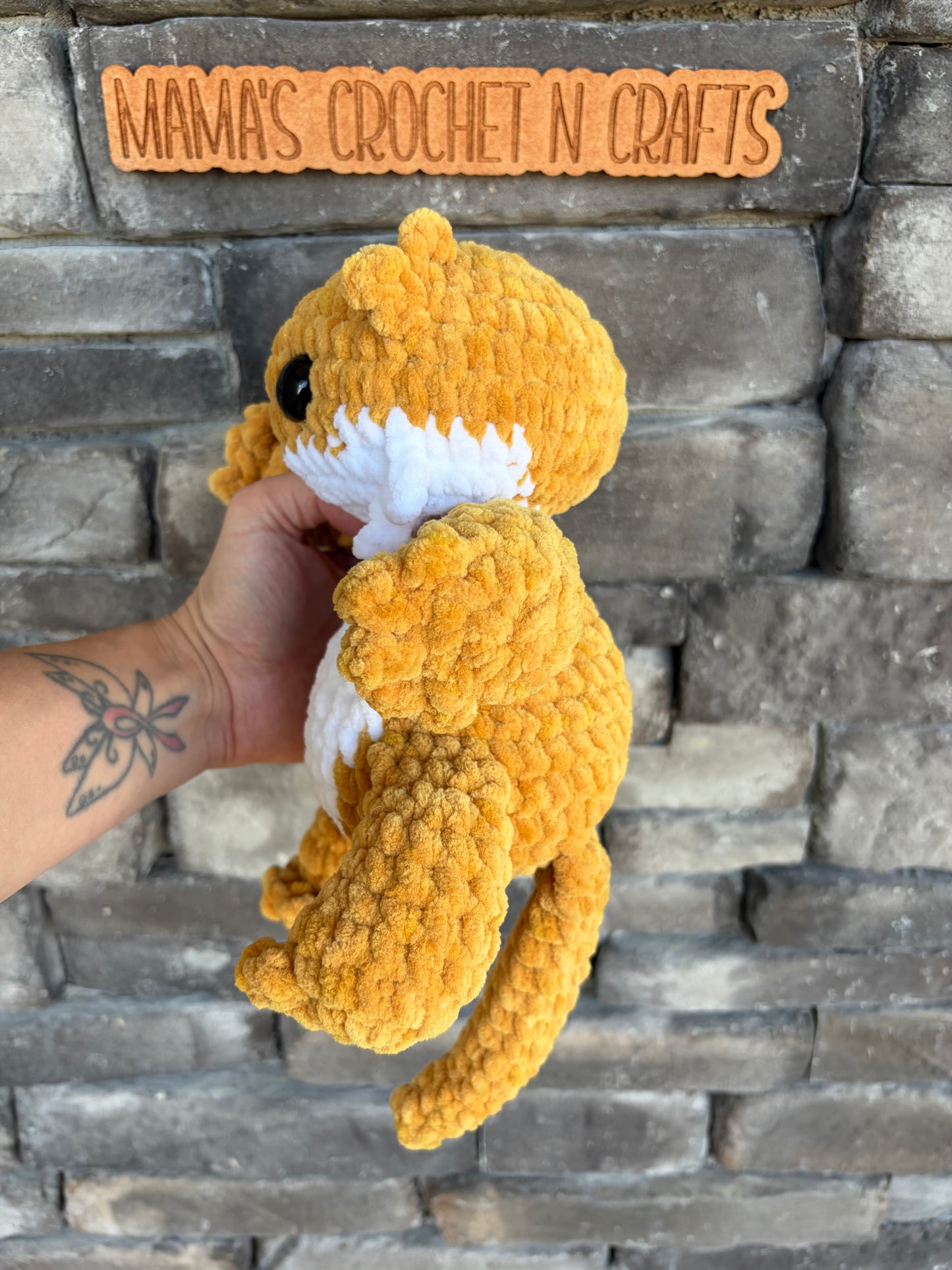 Bearded dragon