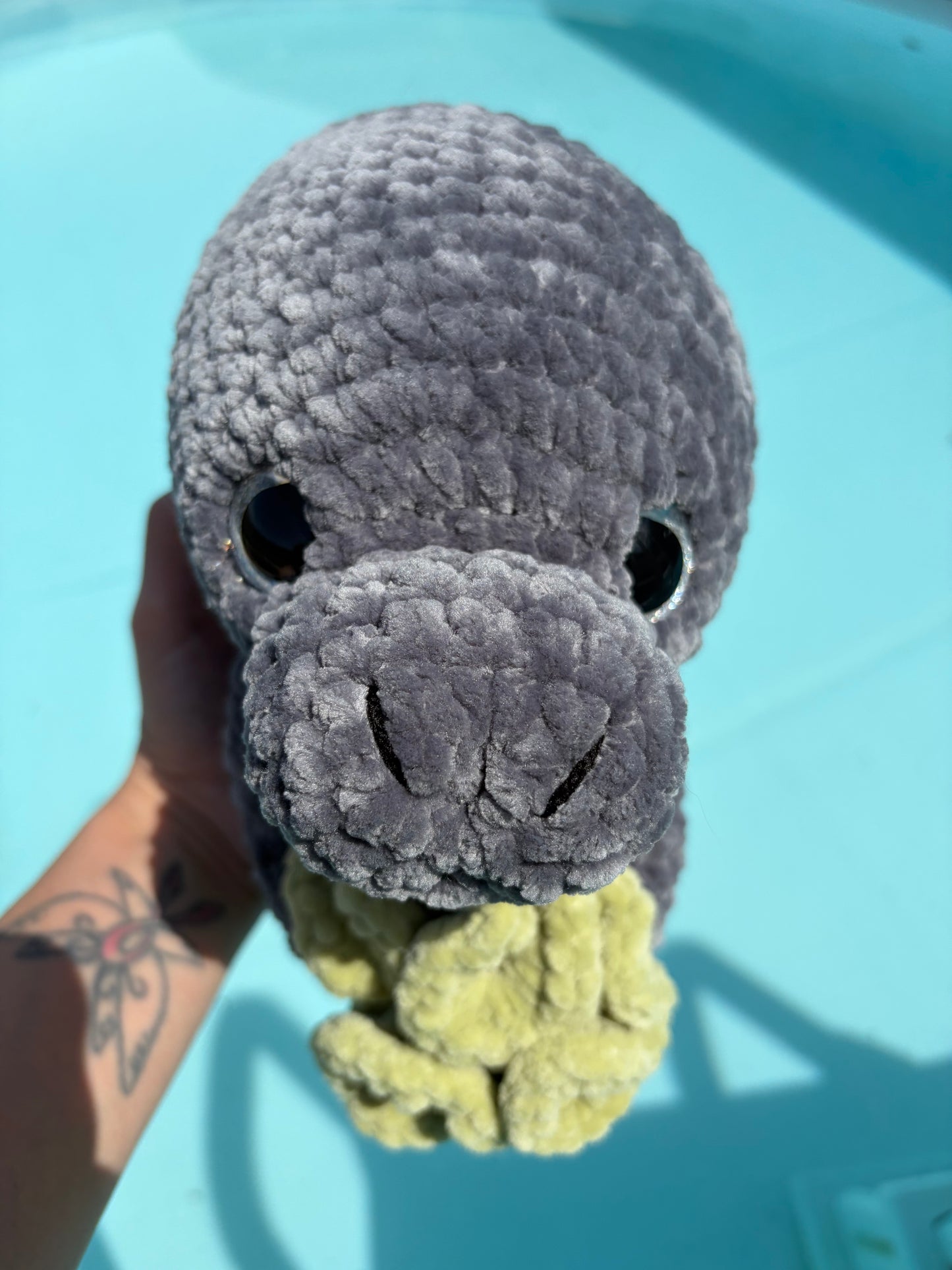 Chonky manatee