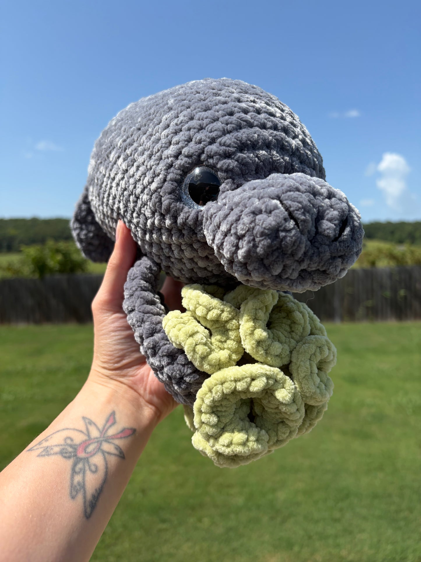 Chonky manatee