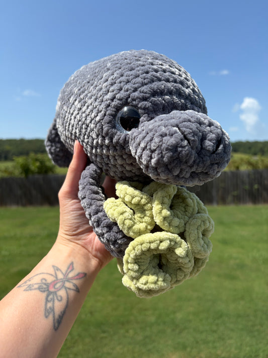 Chonky manatee