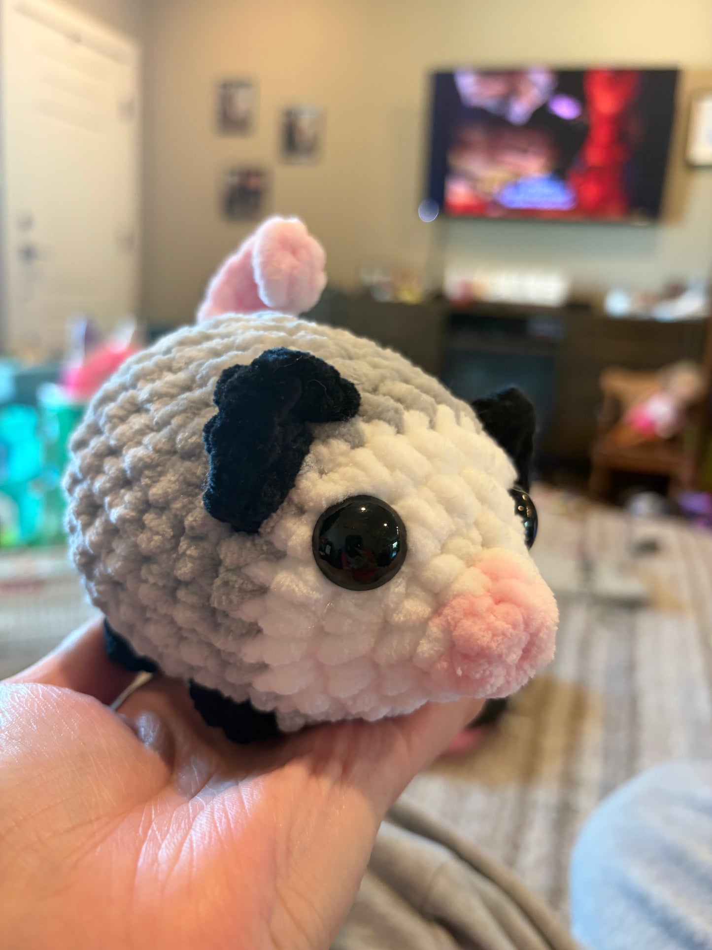Baby opposum